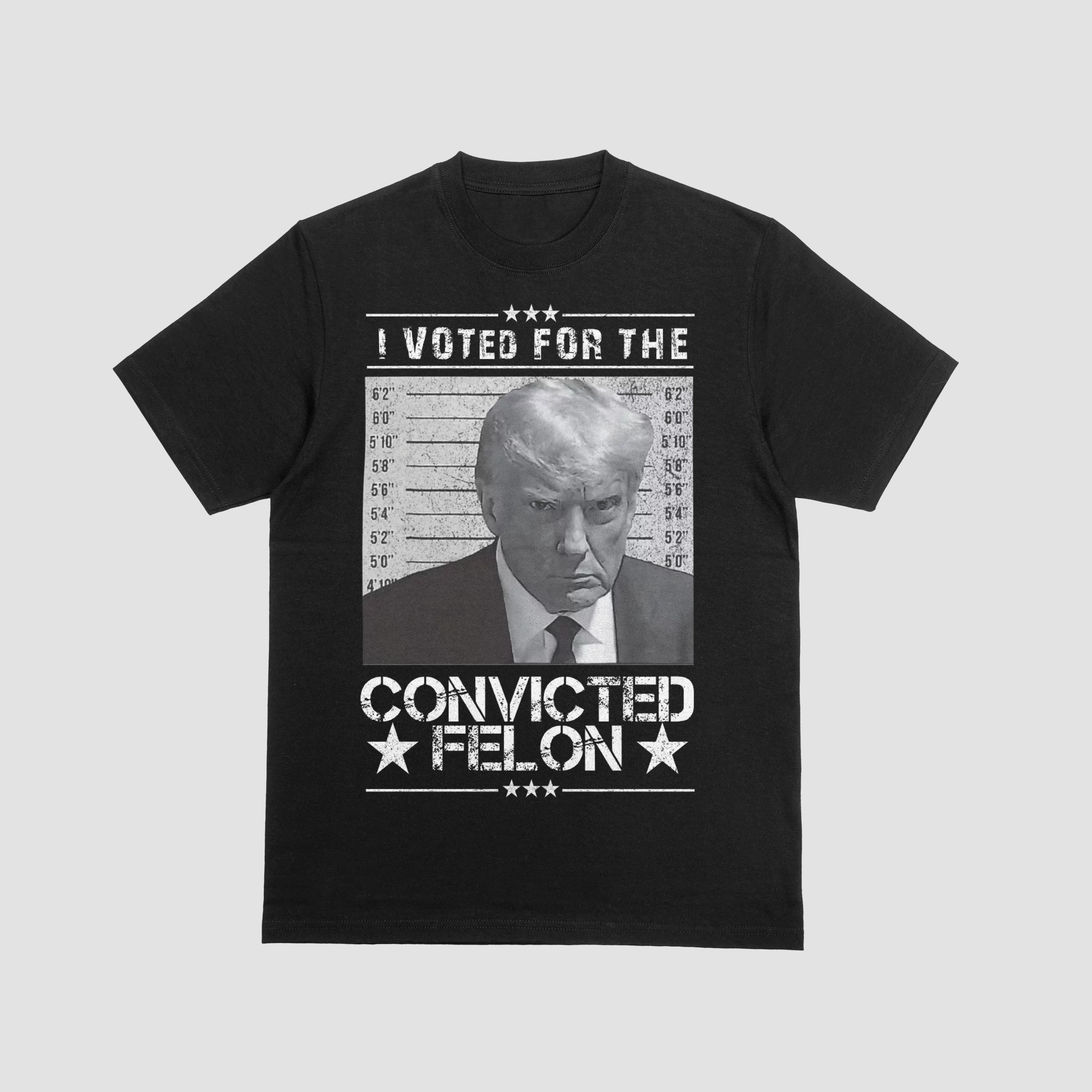 I Voted for the Felon